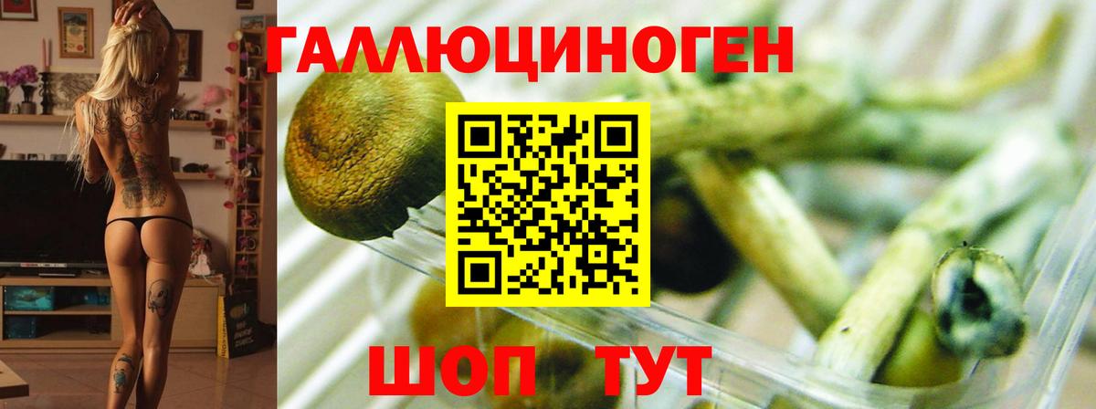 Меф МЯУ МЯУ кристаллы  Каннабис  КОКАИН  ГАШИШ  МДМА  Кольчугино  Амфетамин   Вход с VPN 