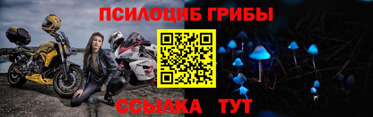 Кольчугино  Галлюциногенные грибы Cubensis  Вход с VPN 